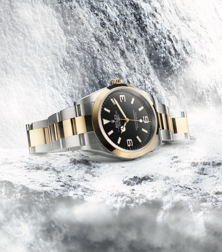 Rolex Explorer Watches - David Gardner's Jewelers