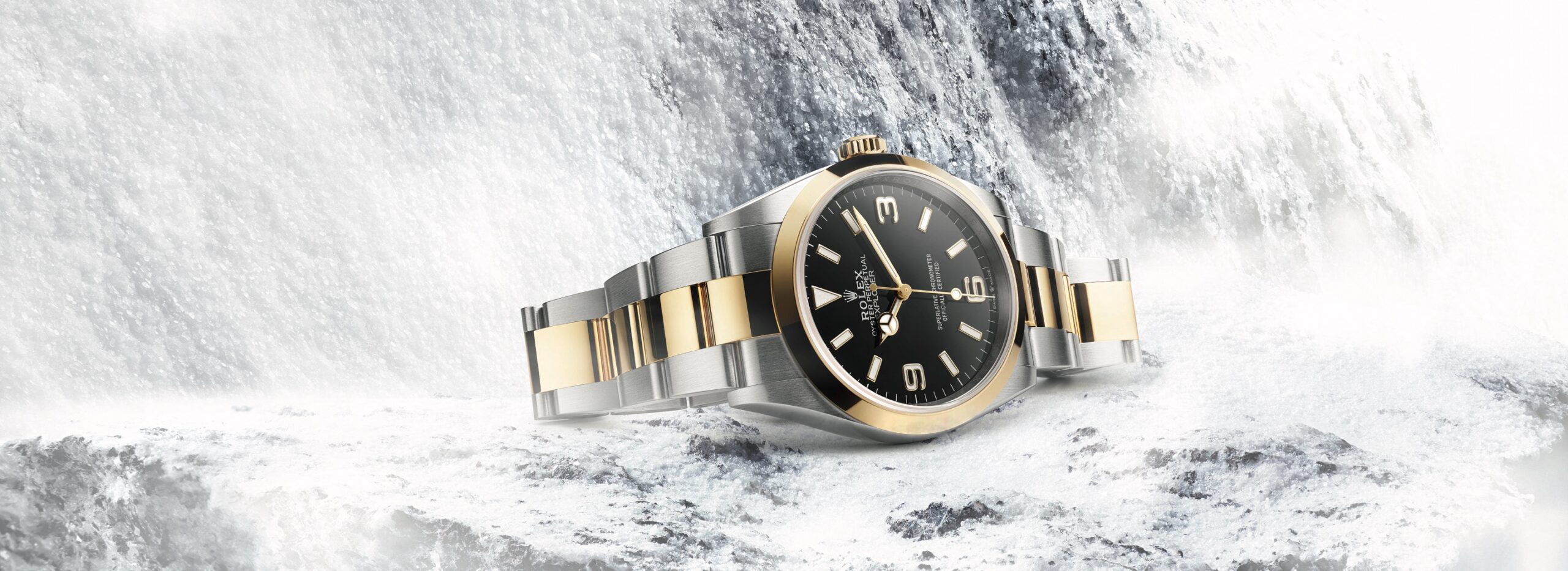 Rolex Explorer Watches - David Gardner's Jewelers